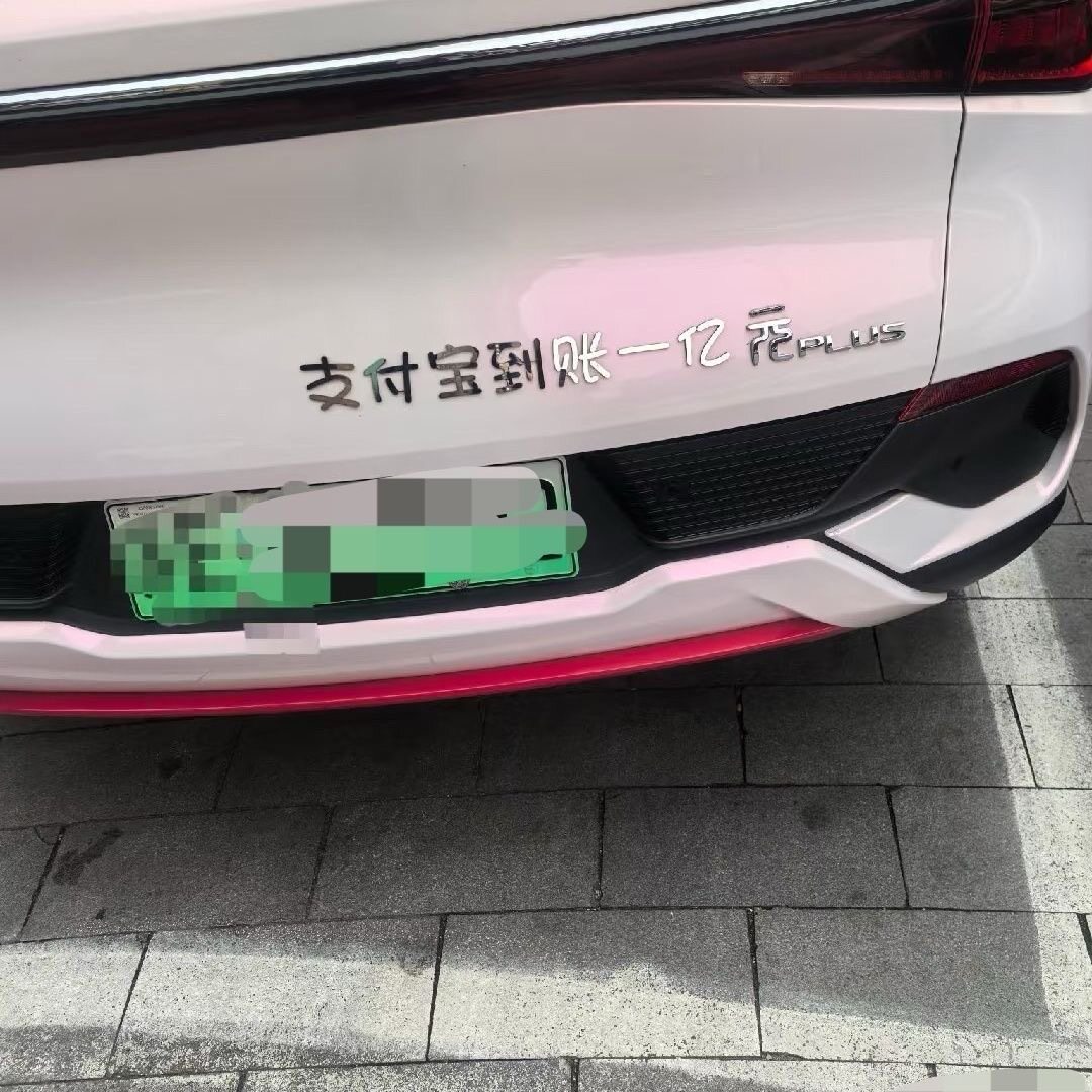 支付宝到账一亿元个性创意车标