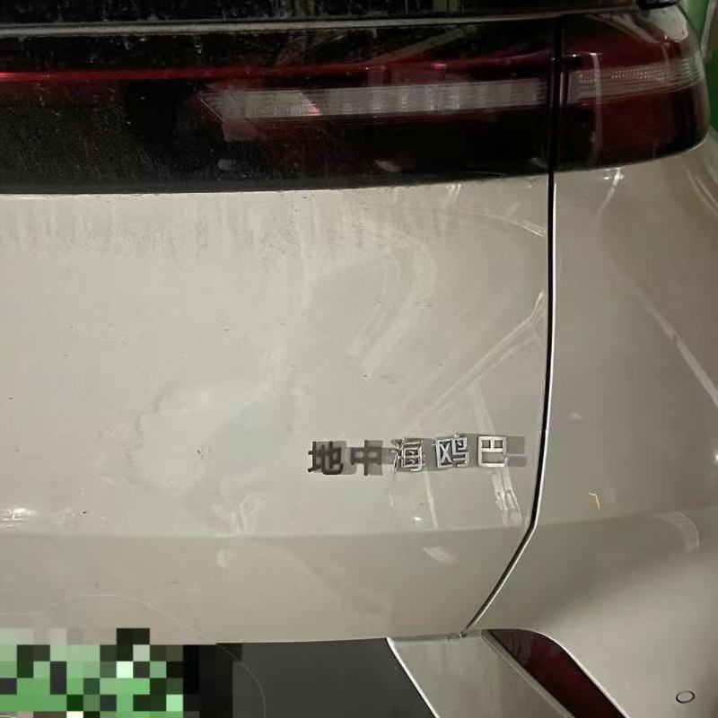 海鸥汽车不锈钢材质定制车尾标