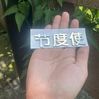 长安不锈钢材质定制车尾标