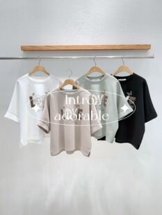 韩国东大门2026春季新品INTRO时尚百搭圆领短袖字母T恤女