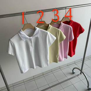 翻领POLO衫 韩国东大门2026春季 新款 BALANCE简约纯色短袖 T恤女 短袖