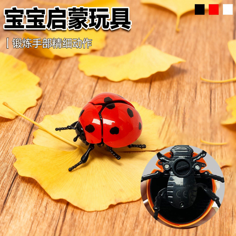 2025年新款儿童玩具上炼发条彷真昆虫解压会跑甲壳虫上弦七星瓢虫