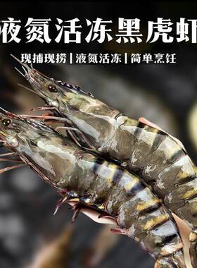 黑虎虾大海虾青虾大虾