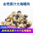 鲜活速冻纯肉海螺个头大去头去内脏日料刺身半熟制品贝类海鲜水产