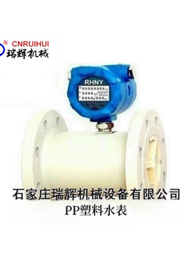全PP塑料防腐蚀水表UPVC耐酸碱水表RHNY-A25SF石家庄瑞辉DN25 ABS