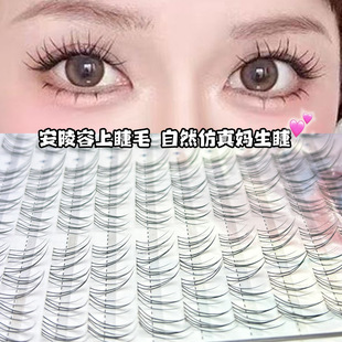 仙女清冷感安陵容上睫毛自然浓密单簇仿真妈生新手懒人自粘透明梗