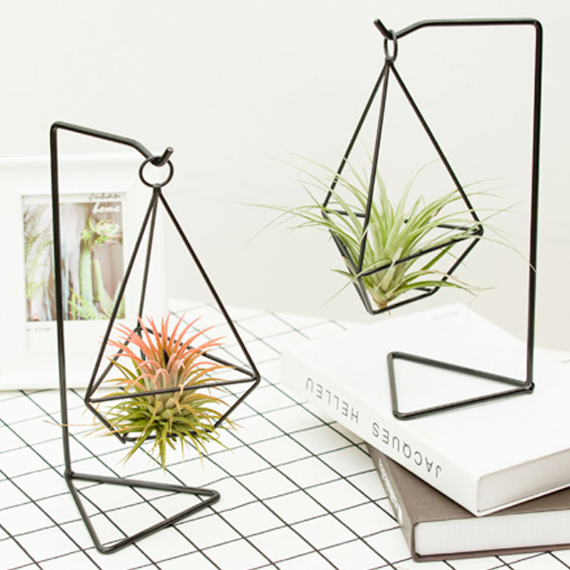 空气凤梨几何花架组合空气草绿植创意礼品家居装饰无土植物包邮！