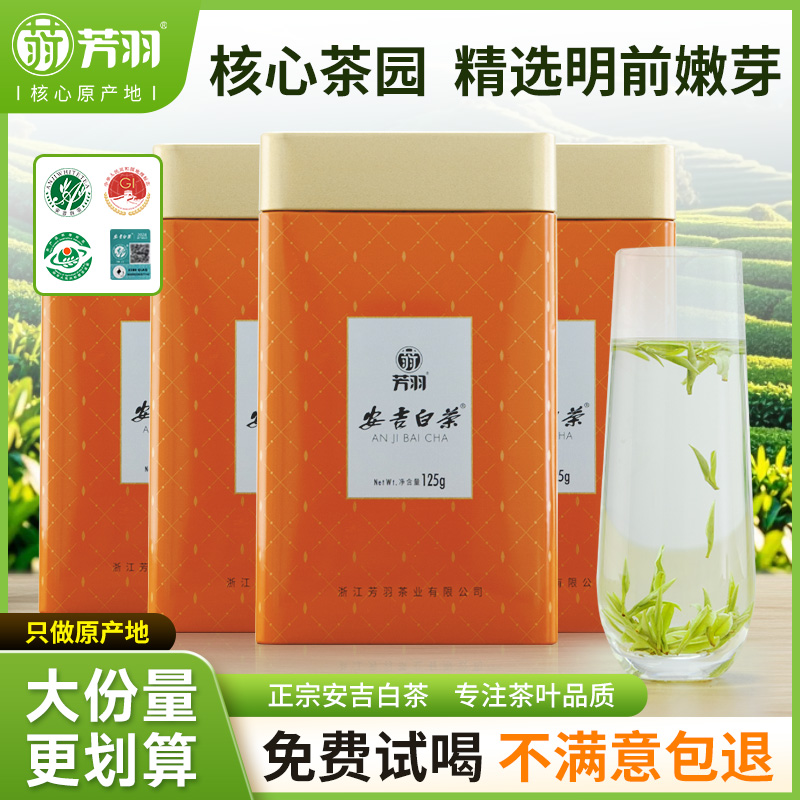 2025新茶芳羽安吉白茶明前绿茶