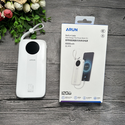 海陆通 3C-P19 移动电源 兼容闪充 数显 自带 1万毫安