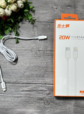 乐士顿KP20pd闪充线
