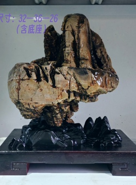 天然石头九龙华安镇宅太湖