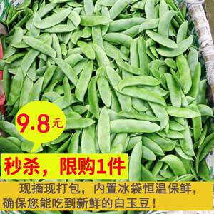 新鲜现摘白玉豆上饶特产带壳农家蔬菜带壳三清豆京豆夹芸豆花豆子