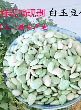 现剥白玉豆白玉豆农家自种