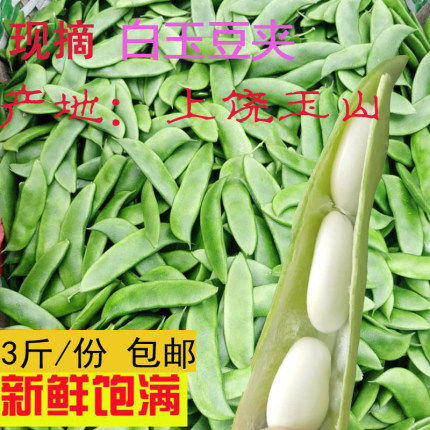 新鲜白玉豆上饶特产农家蔬菜带壳三清豆京豆夹芸豆花豆子5斤包邮