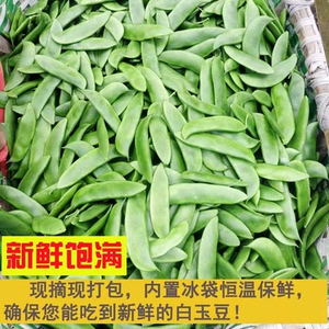 玉山新鲜现摘农家白玉豆