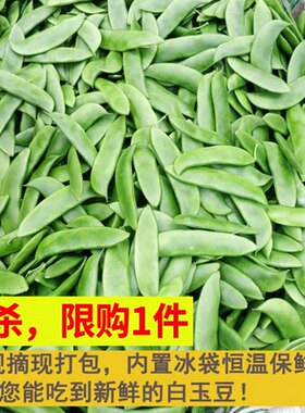 新鲜现摘白玉豆上饶特产带壳农家蔬菜带壳三清豆京豆夹芸豆花豆子