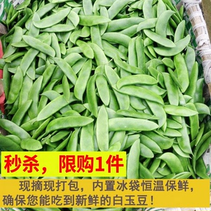 新鲜现摘白玉豆上饶特产带壳农家蔬菜带壳三清豆京豆夹芸豆花豆子