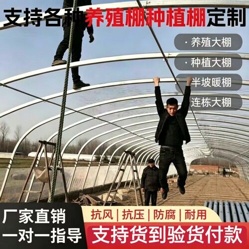 大棚骨架钢管全套养殖种植大棚