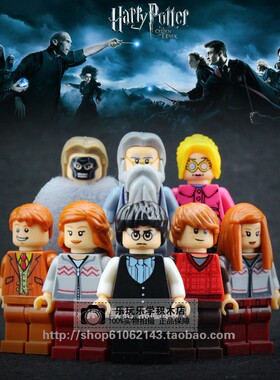 哈利波特与魔法石神奇动物在哪里电影人仔伏地魔夜骐战马积木玩具