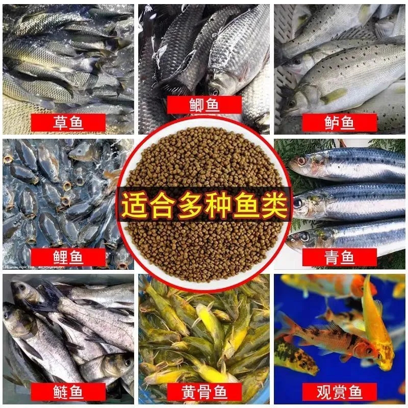小鱼苗饲料淡水鱼通用型批发