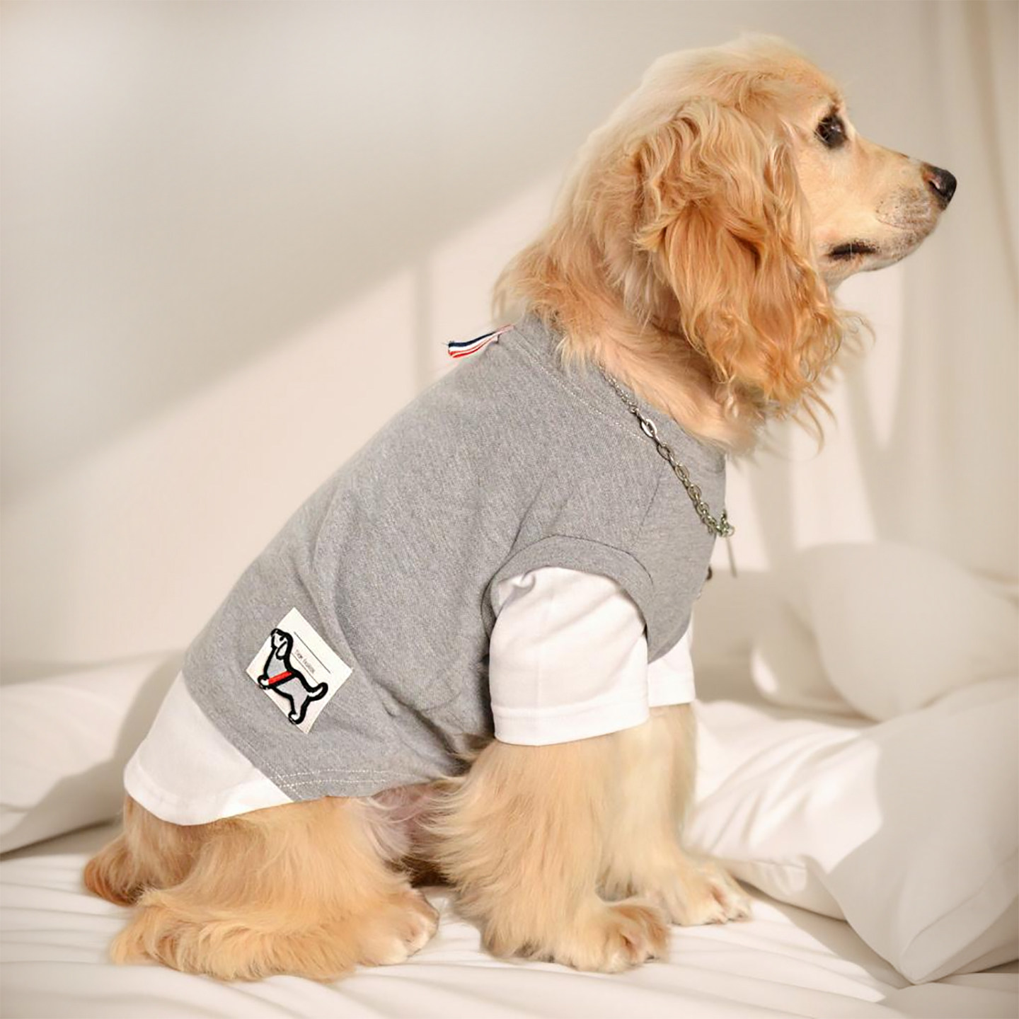 狗狗衣服小鹿犬博美西施泰迪比熊雪纳瑞马尔泰可卡衣服时尚英伦风
