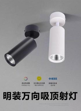 明装小山丘射灯可调角度7W15W吸顶式洗墙照画全光谱客厅高显高亮