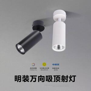 明装小山丘射灯可调角度7W15W吸顶式洗墙照画全光谱客厅高显高亮