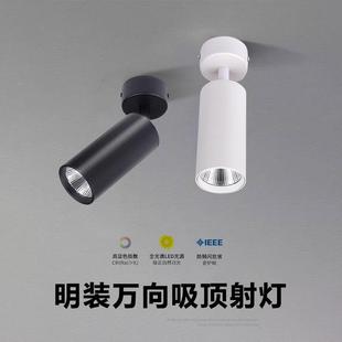 明装 洗墙照画全光谱客厅高显高亮 小山丘射灯可调角度7W15W吸顶式