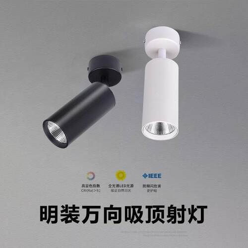 明装可调吸顶射灯7W10W12W15W