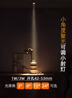 小角度led聚光可调小射灯1W3W嵌入式开孔5公分50mm3度8度15度24度