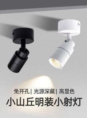 明装小山丘射灯可调角度3W5W7W吸顶式洗墙照画全光谱客厅高显聚光