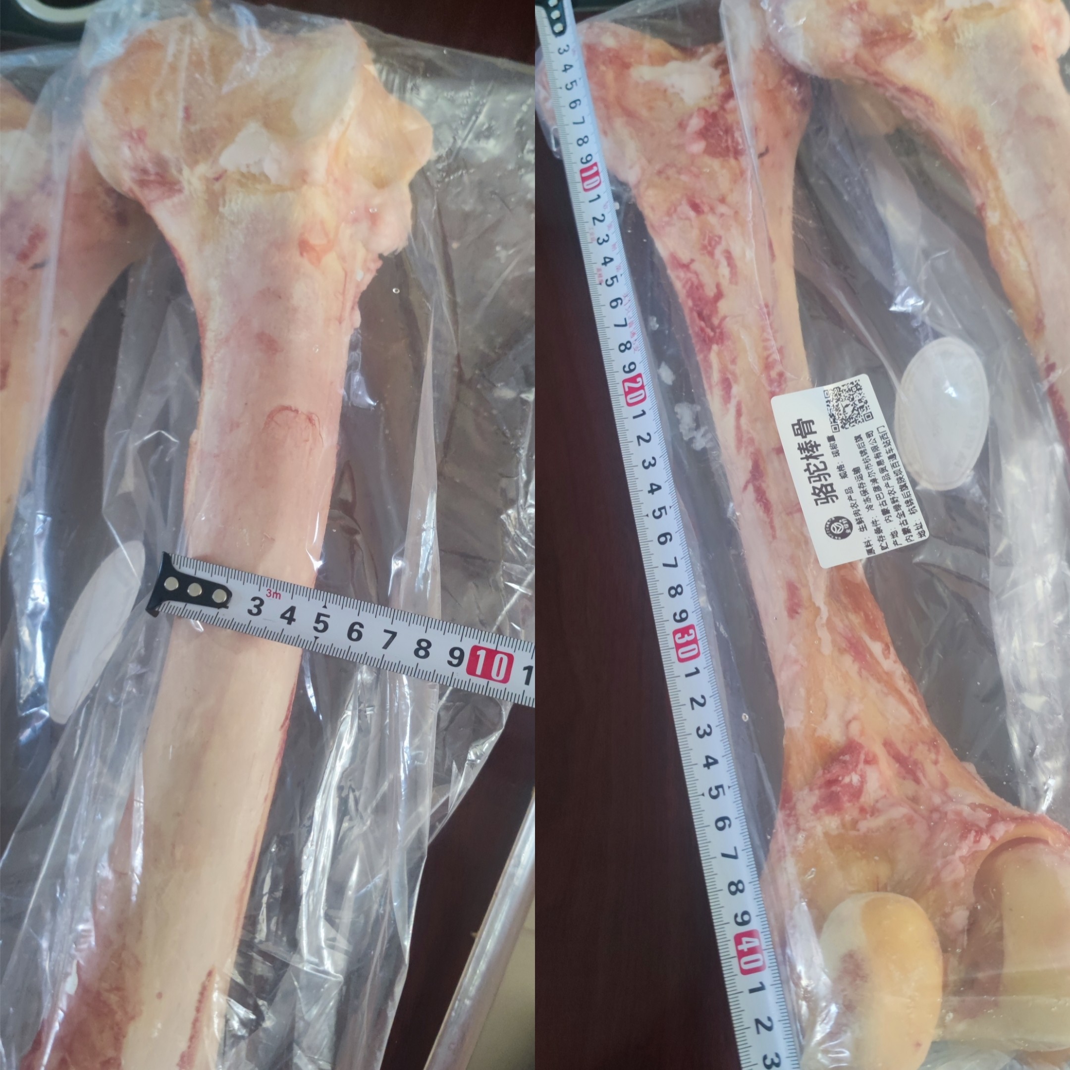 骆驼腿骨1个包邮  生鲜骆驼腿其它生肉制品