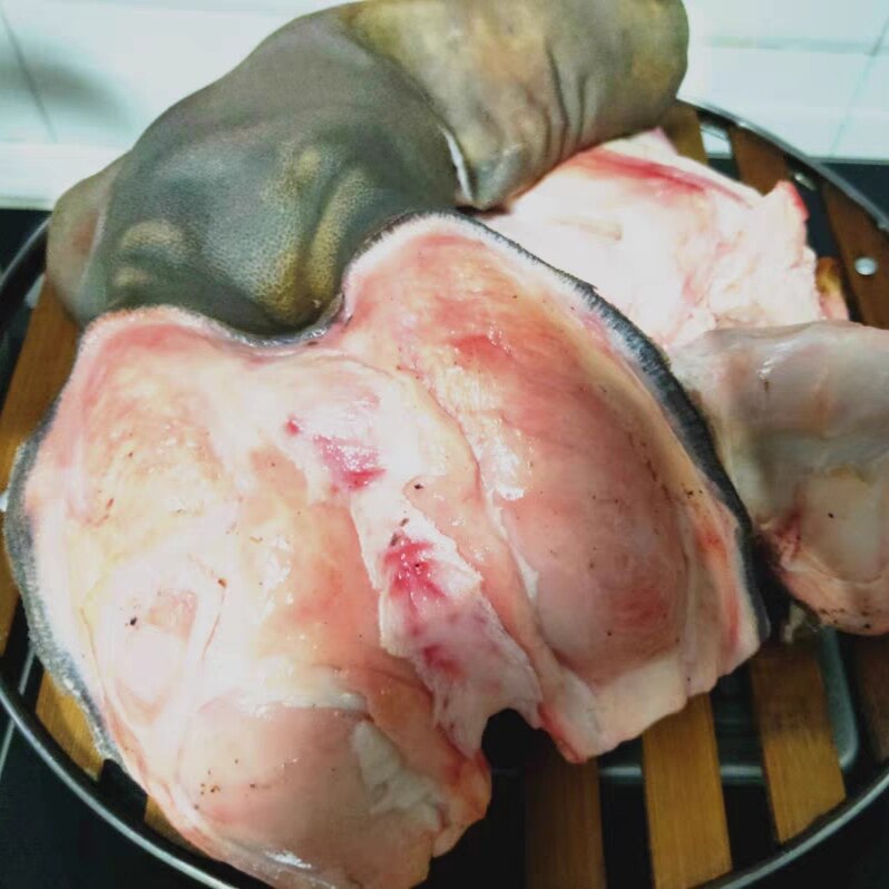 全绿野骆驼掌（带皮）1个包邮 其它生肉制品