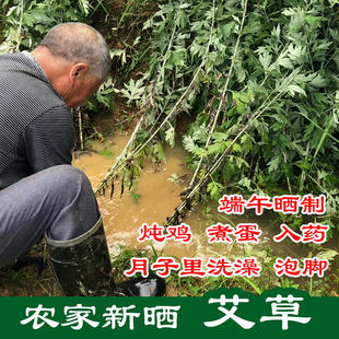 新货端午艾 农家蕲艾整根陈干艾叶艾草艾蒿泡脚产妇月子洗澡包邮