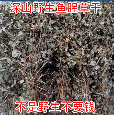 新货野生干货250克包邮鱼腥草