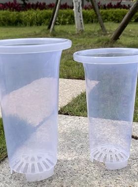 【透明无侧孔兰盆】透明无侧孔蝴蝶君子兰花盆专用塑料养根透气