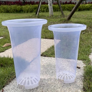 【透明无侧孔兰盆】透明无侧孔蝴蝶君子兰花盆专用塑料养根透气