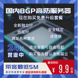 三线高防BPG云服务器租用低延迟稳定大带宽独立新IP云主机CN2