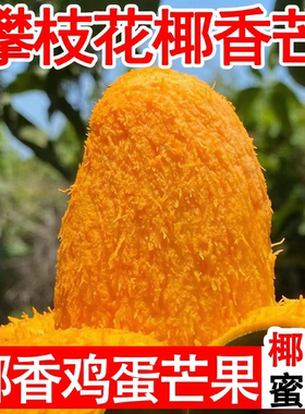 四川攀枝花椰香芒果现摘鲜甜包邮