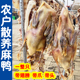 风干咸麻鸭安徽六安农家腌制晒干散养土鸭腊鸭咸货咸老鸭板鸭特产