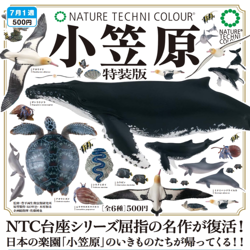 日本正版小笠原海洋生物特装版