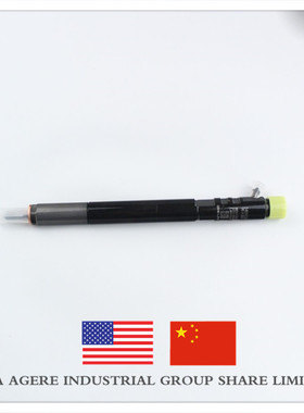 喷油嘴总成 EJBR03401D 适用德尔福系统 A6640170021双龙享御喷嘴