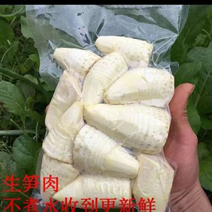 冬笋肉新鲜现挖去壳竹冬笋高山黄泥冬笋肉真空包装嫩笋尖去壳冬笋