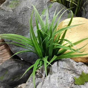 花艺仿真植物绿草造景假花秧苗小草插花素材塑料叶子装 软装 饰假草