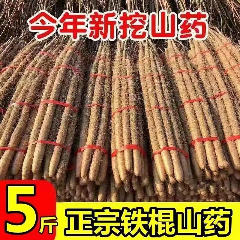 正宗铁棍山药新鲜蔬菜