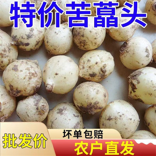 品质苦藠团葱新鲜蔬菜四川苦藠头苦藠种野葱头小蒜头薤白野生苦叫