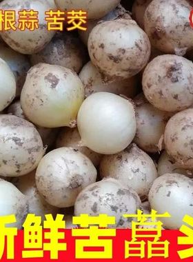 苦藠团葱新鲜时令蔬菜四川农家自种苦藠头葱种野葱头小蒜头薤白