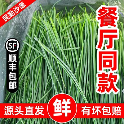 顺丰民勤现摘沙葱火锅食材