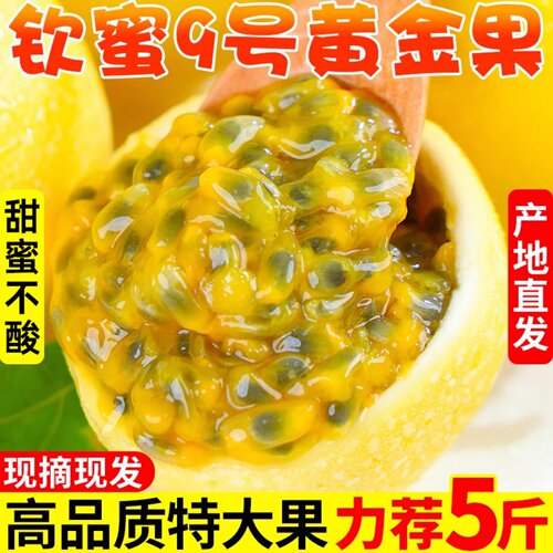 广西钦蜜9号黄金百香果现摘纯甜