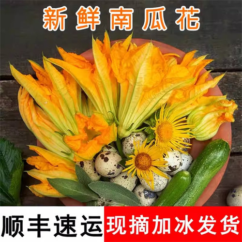 江苏南瓜花新鲜专吃南瓜尖南瓜藤当季蔬菜农家自种时令菜顺丰发货